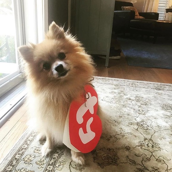 Meet your Posher, Lee anne - Picture 1 of 5